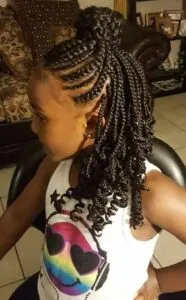Black Girl Braided Hairstyle