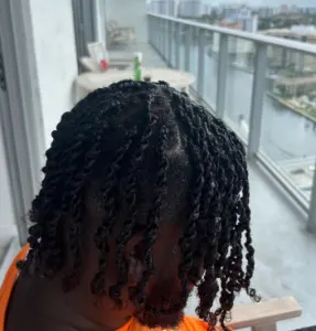 Wash and Style Men Twist